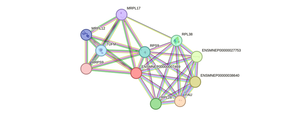 STRING protein interaction network