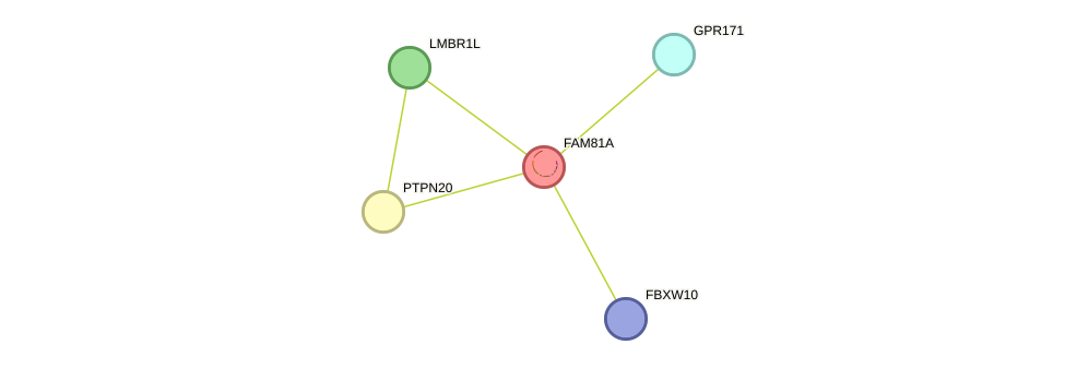 STRING protein interaction network