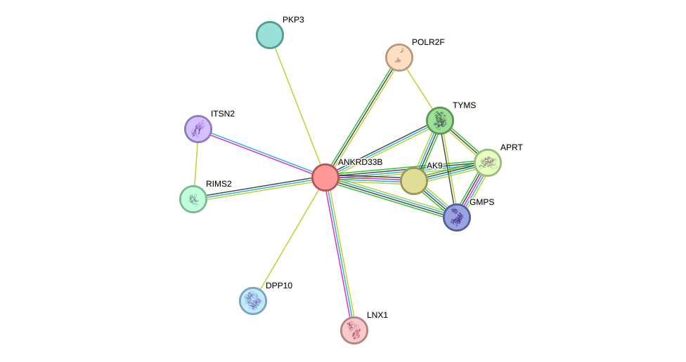 STRING protein interaction network