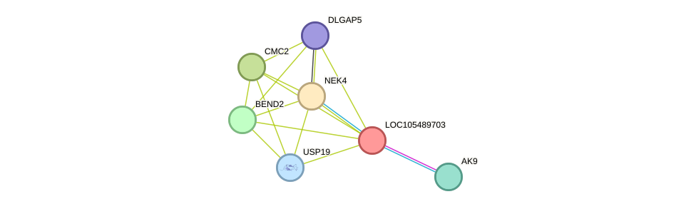 STRING protein interaction network