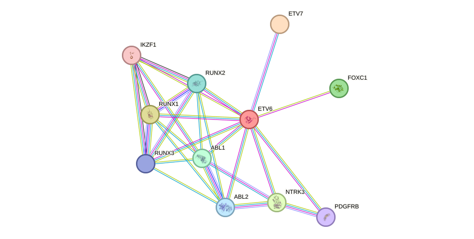 STRING protein interaction network