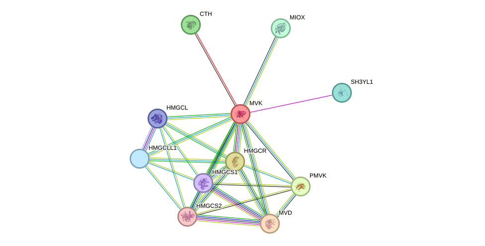 STRING protein interaction network