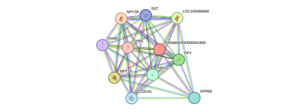 STRING protein interaction network