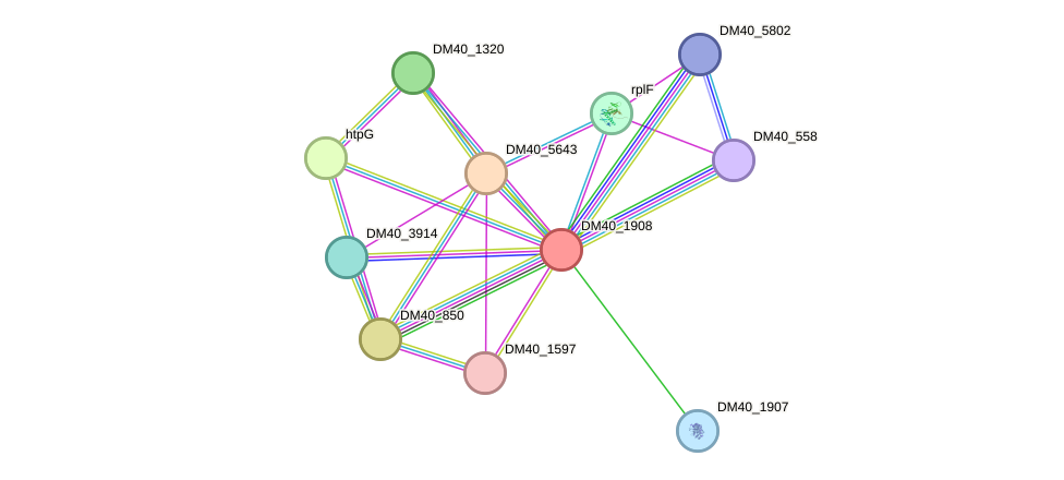 STRING protein interaction network