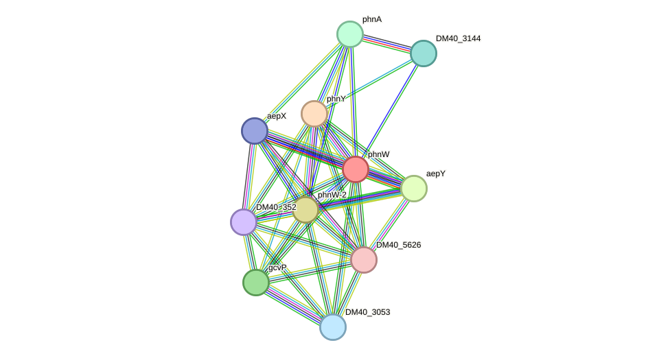 STRING protein interaction network