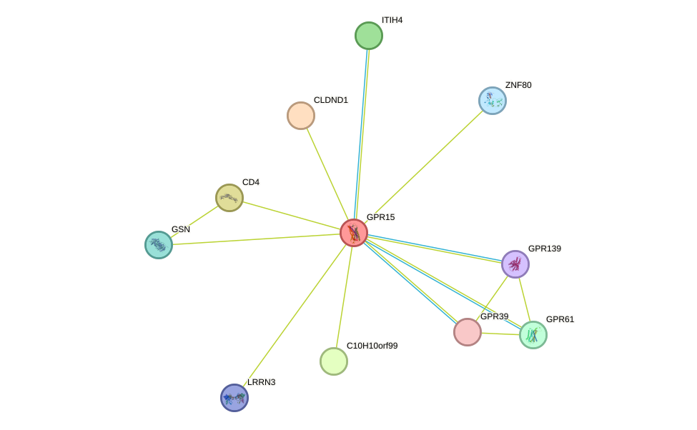 STRING protein interaction network