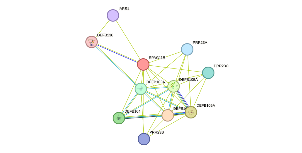 STRING protein interaction network