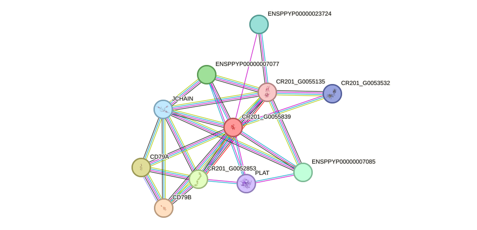 STRING protein interaction network