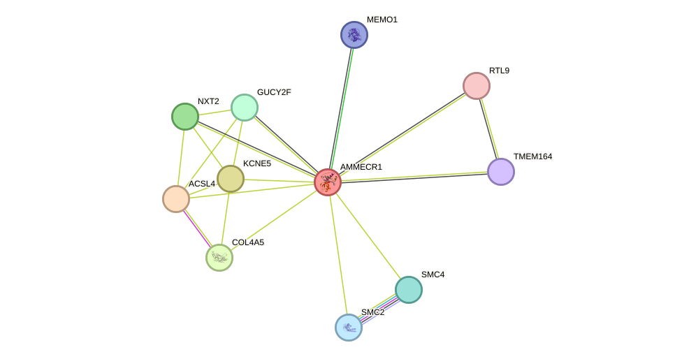 STRING protein interaction network