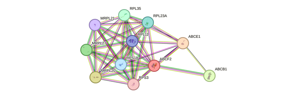 STRING protein interaction network