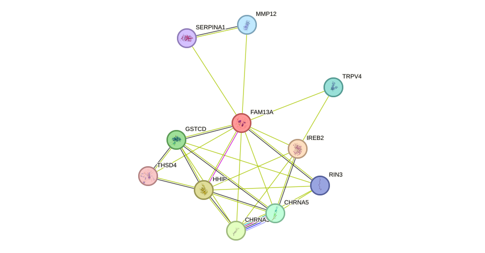 STRING protein interaction network