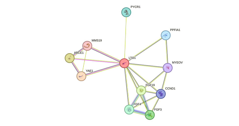 STRING protein interaction network