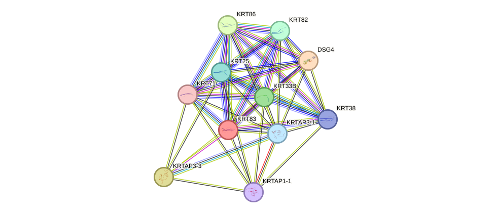 STRING protein interaction network