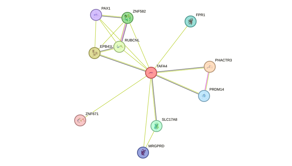 STRING protein interaction network