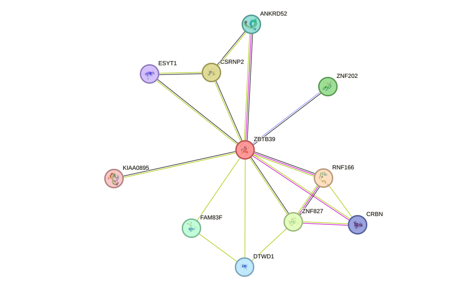 STRING protein interaction network