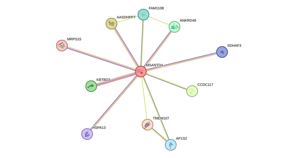 STRING protein interaction network