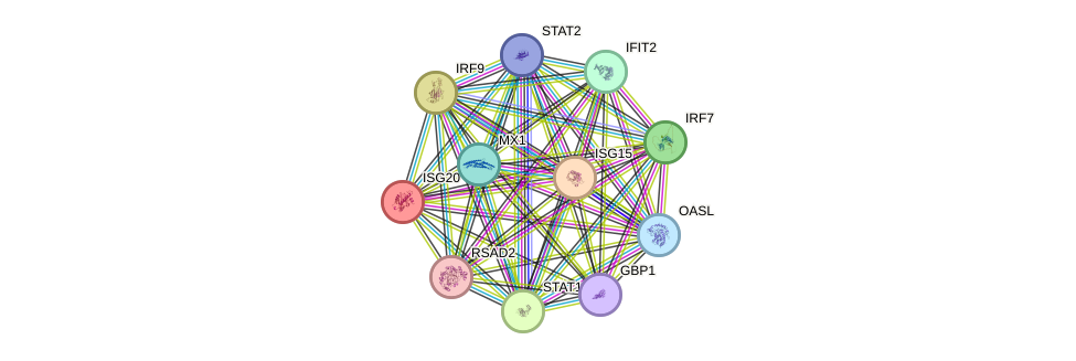 STRING protein interaction network