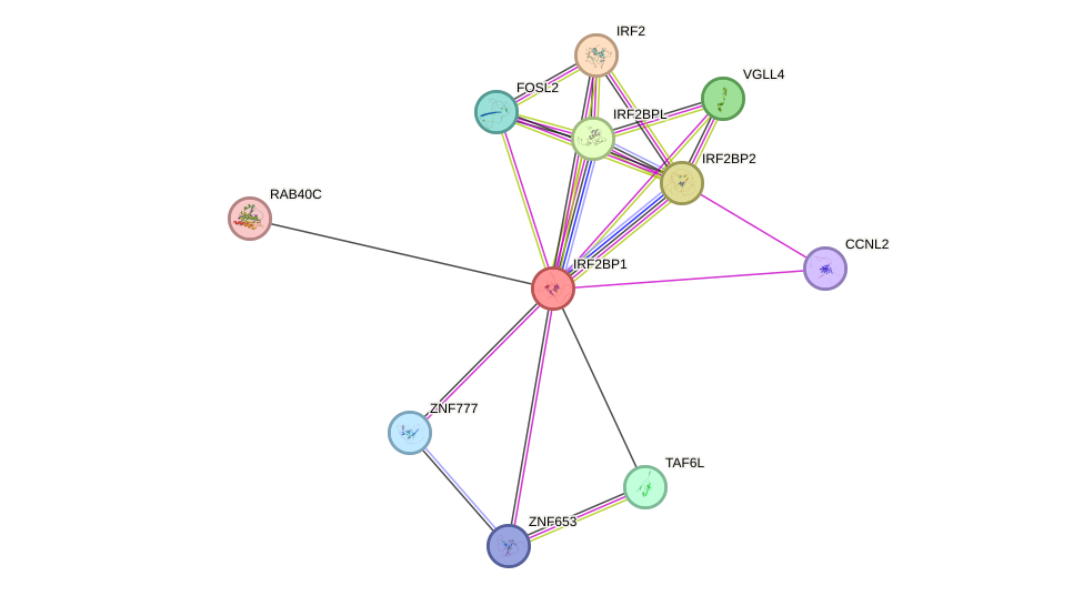 STRING protein interaction network