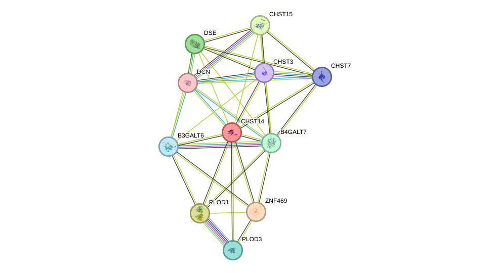 STRING protein interaction network