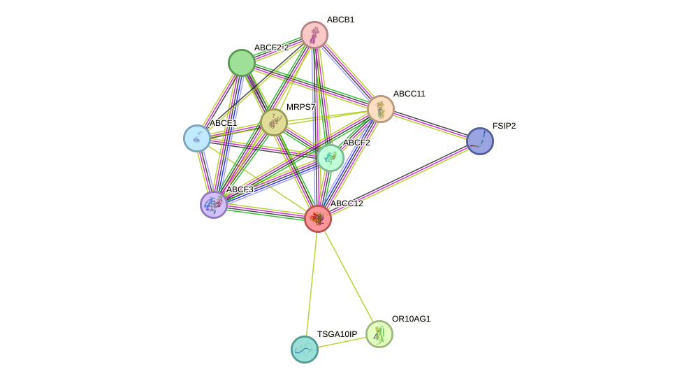 STRING protein interaction network