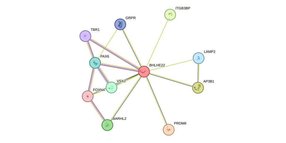 STRING protein interaction network