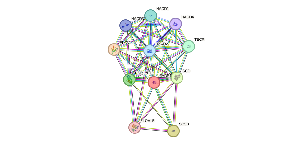 STRING protein interaction network