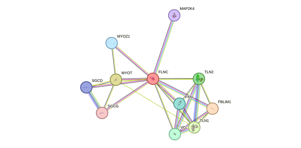 STRING protein interaction network