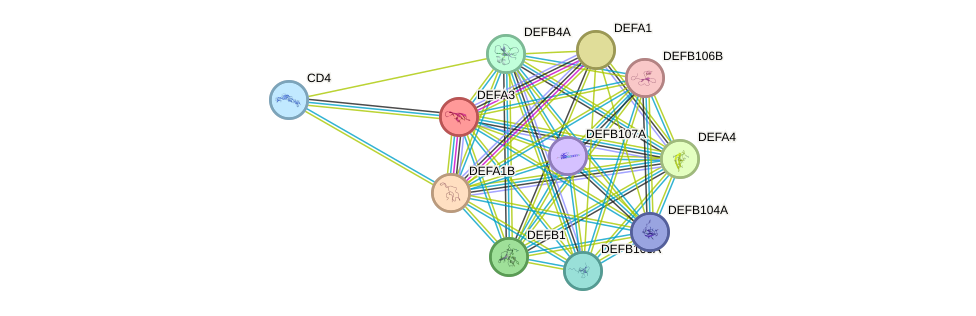 STRING protein interaction network