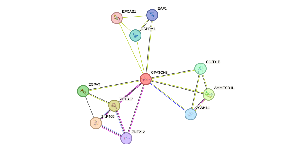 STRING protein interaction network