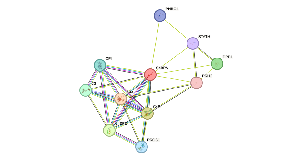 STRING protein interaction network