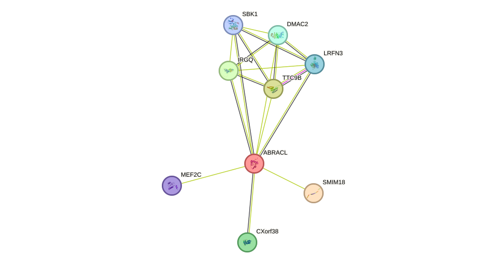 STRING protein interaction network