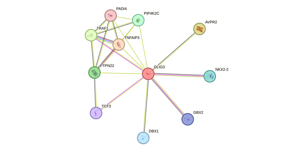 STRING protein interaction network