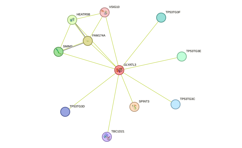 STRING protein interaction network