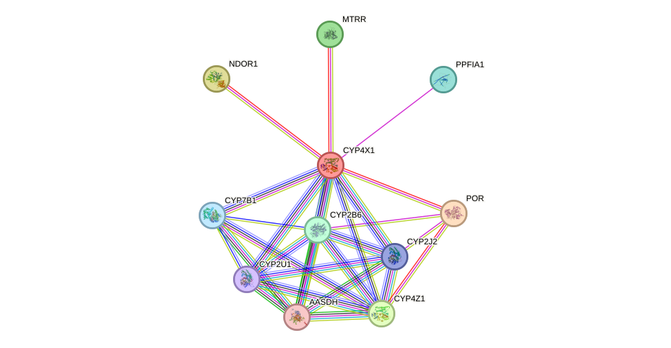 STRING protein interaction network