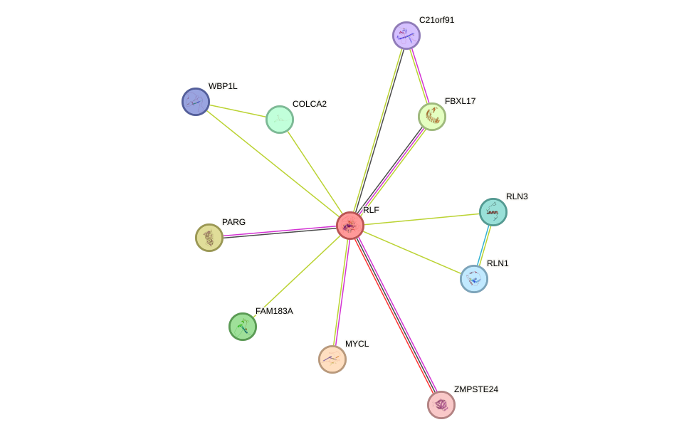 STRING protein interaction network