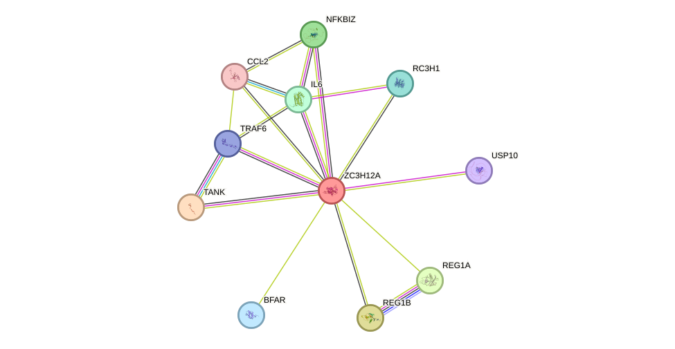 STRING protein interaction network