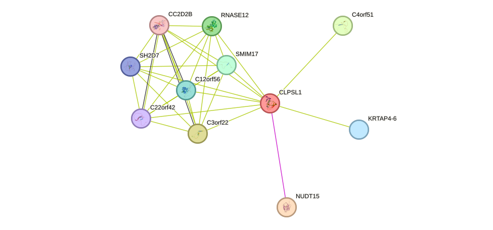 STRING protein interaction network