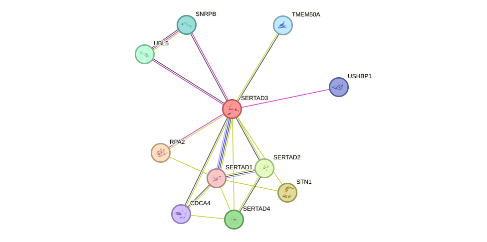 STRING protein interaction network