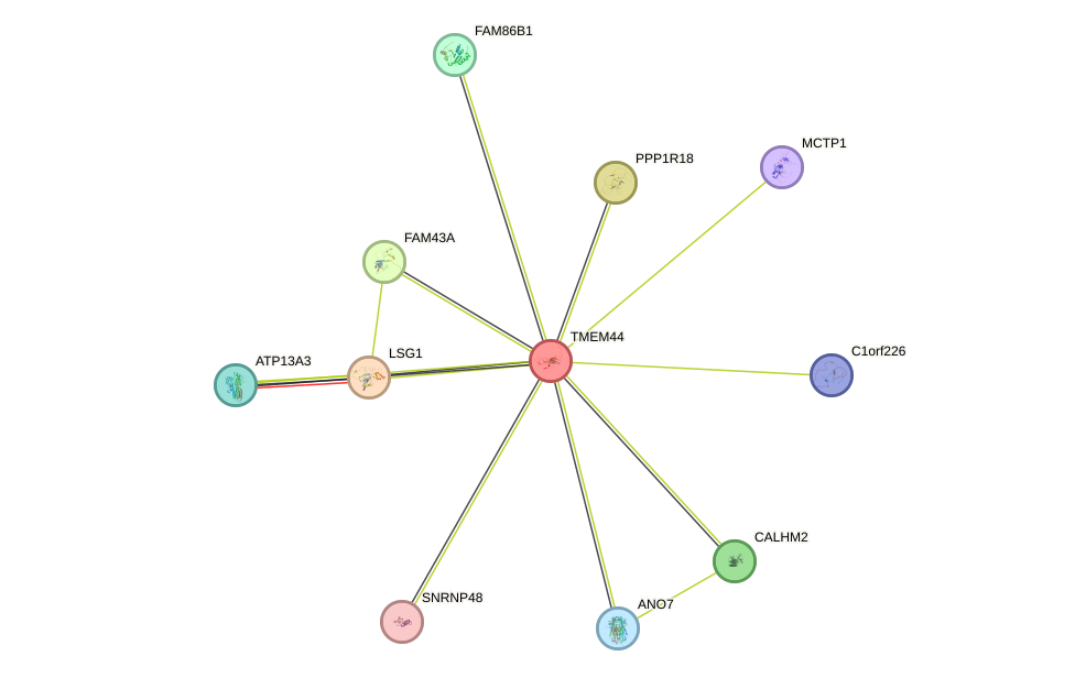 STRING protein interaction network