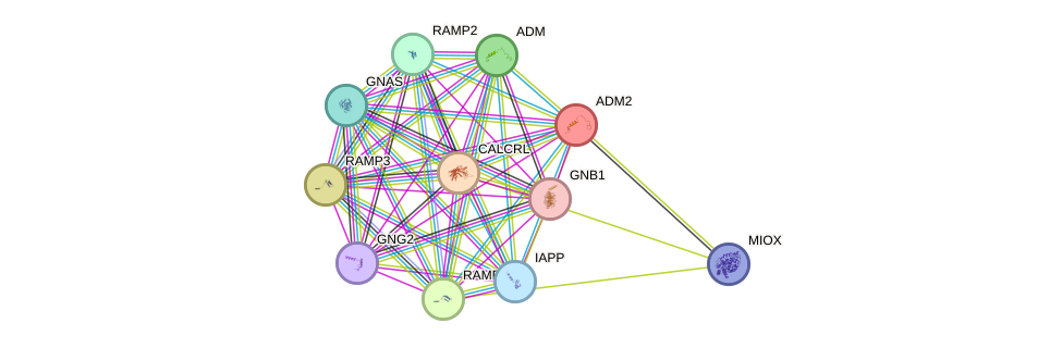 STRING protein interaction network