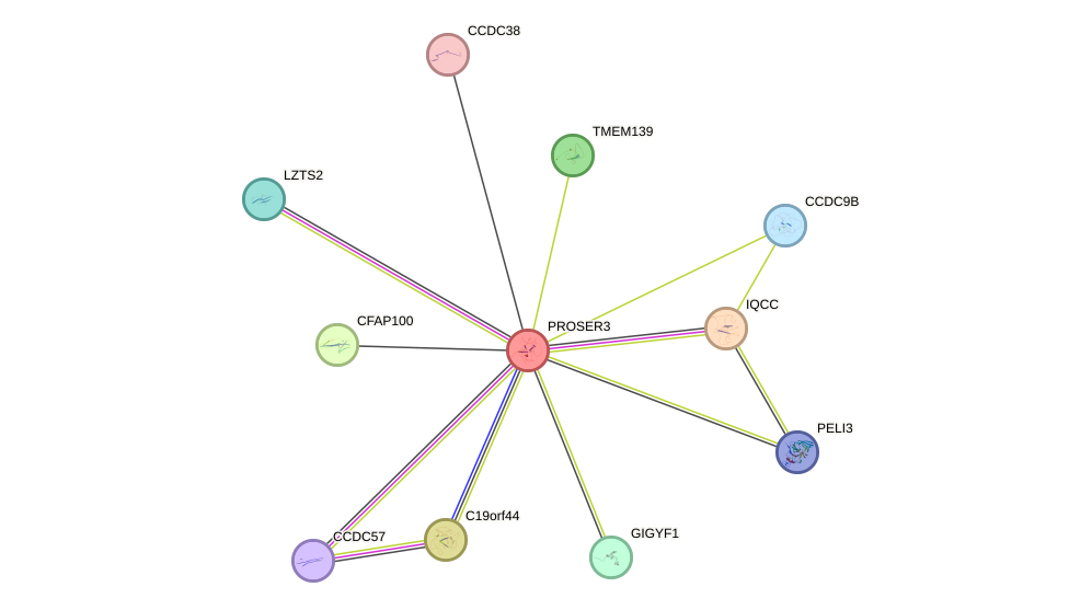 STRING protein interaction network