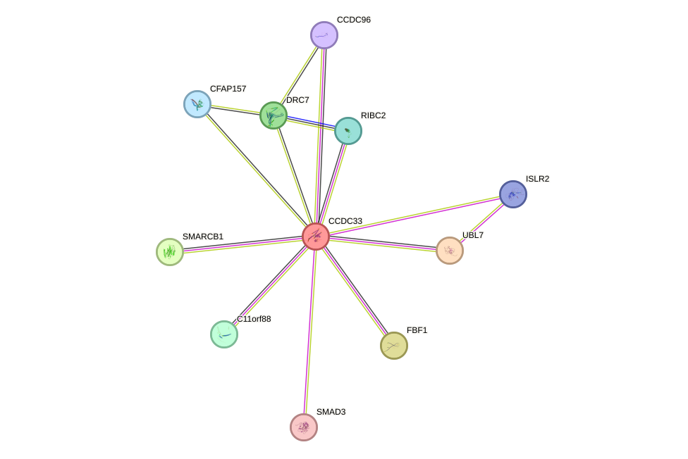 STRING protein interaction network