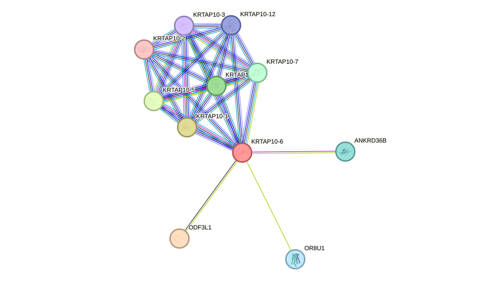 STRING protein interaction network