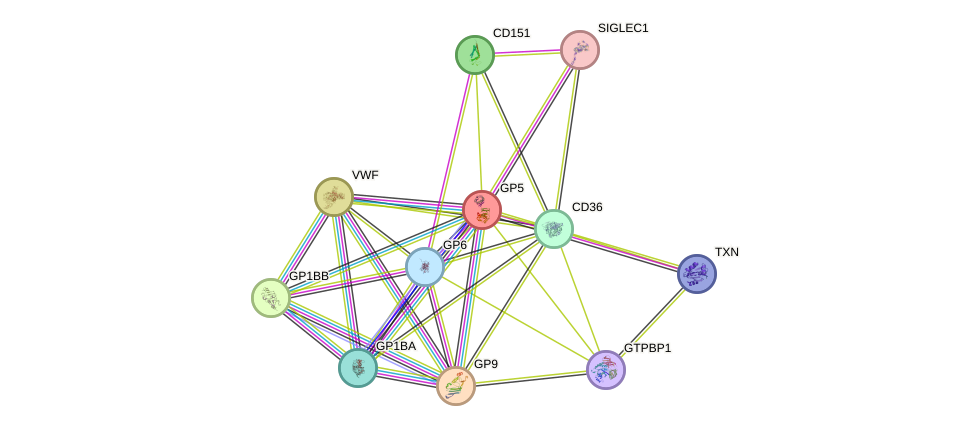 STRING protein interaction network