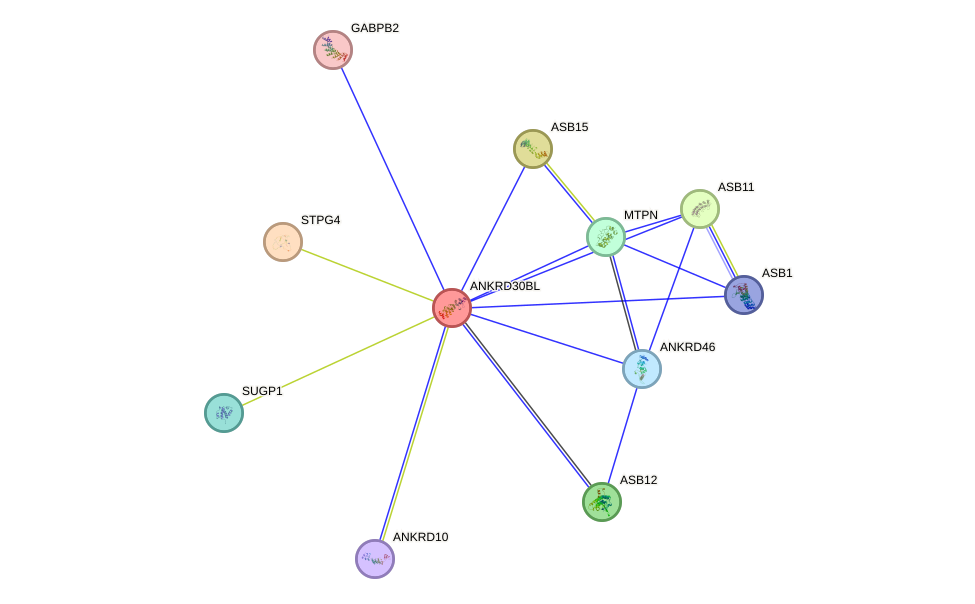 STRING protein interaction network