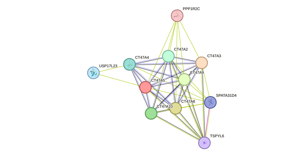 STRING protein interaction network