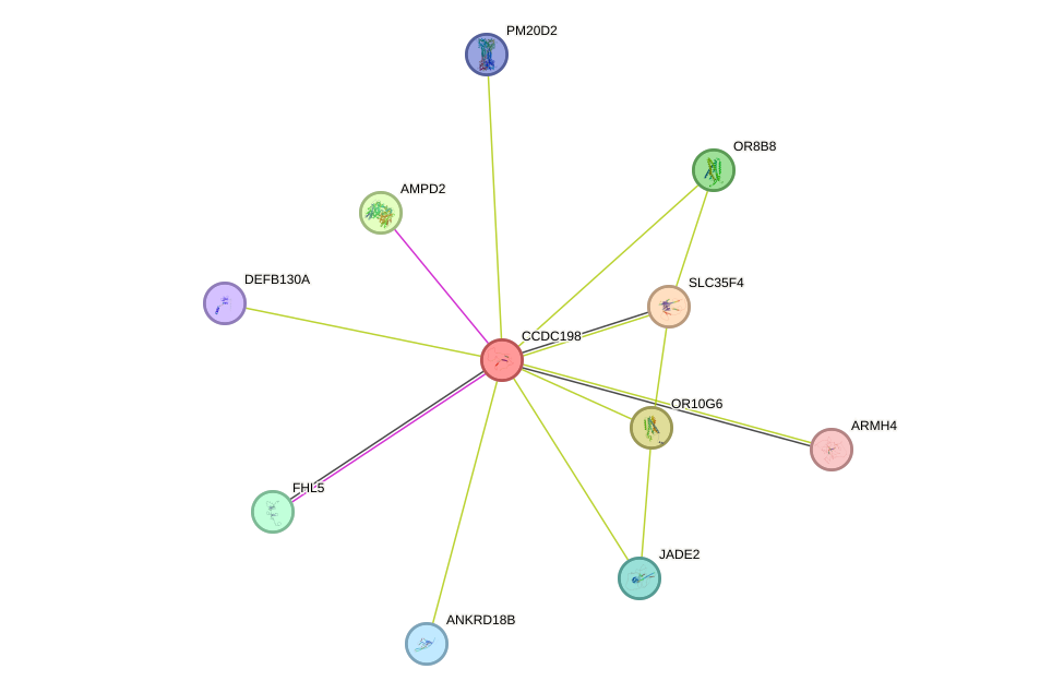 STRING protein interaction network