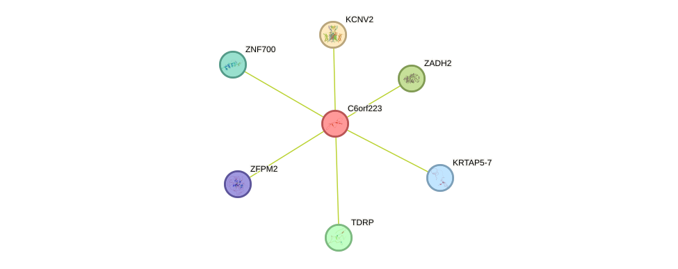 STRING protein interaction network