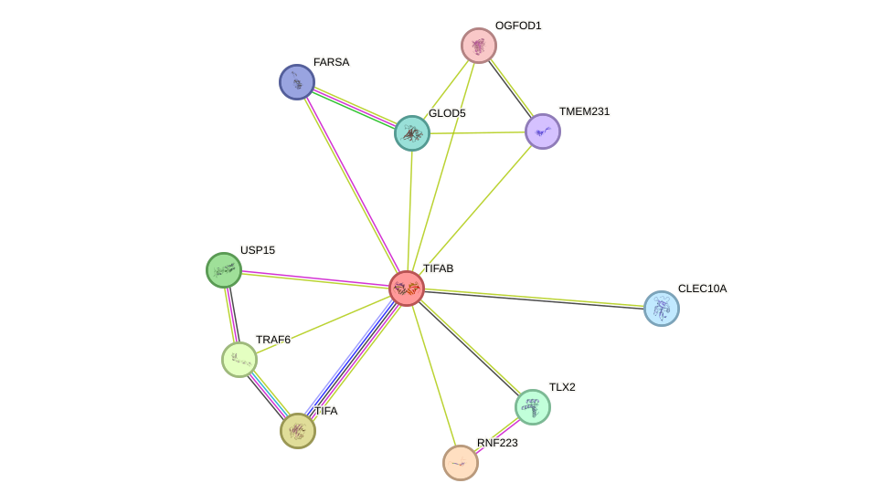 STRING protein interaction network