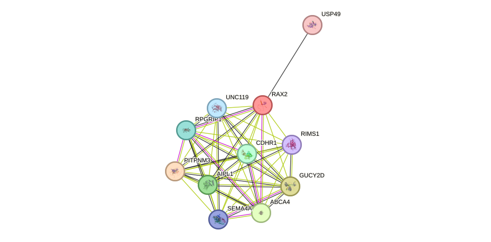 STRING protein interaction network